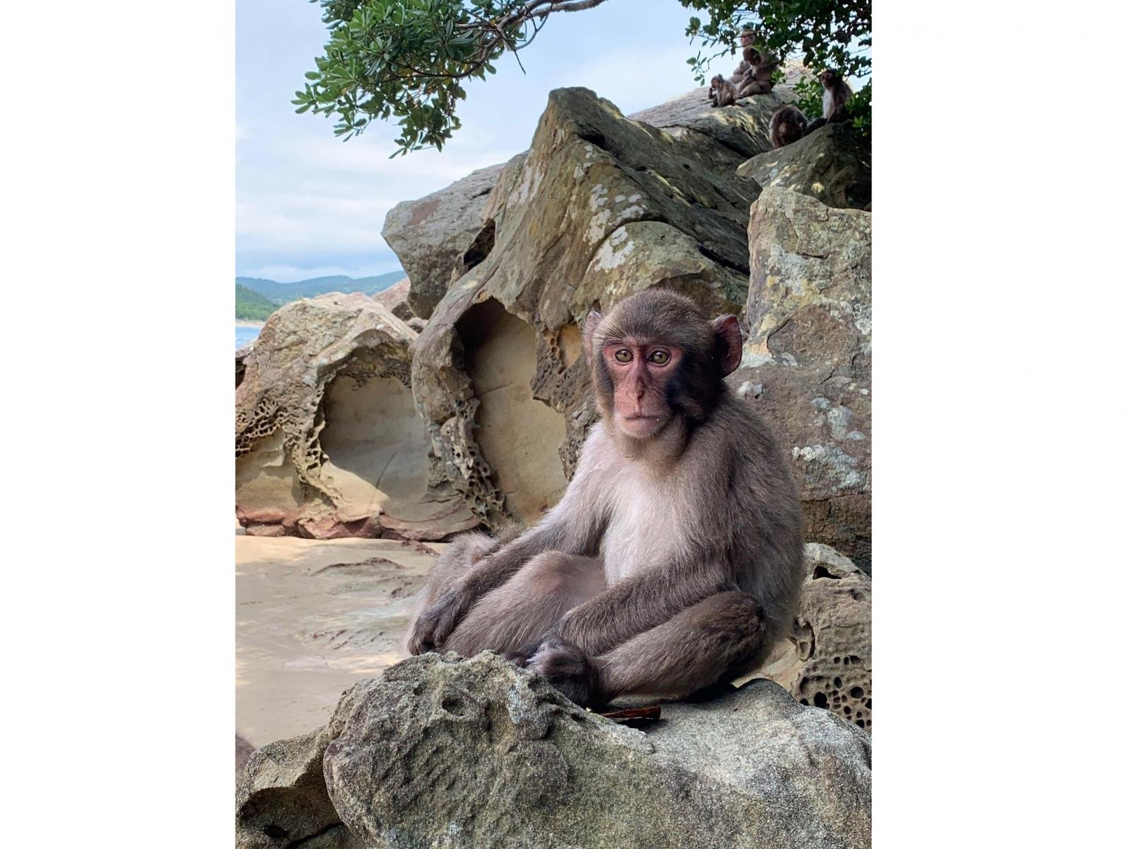 🏝️ 행복의 섬(고지마) 이미지 3